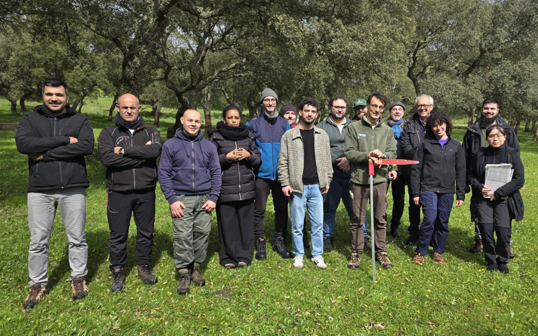 Sardinian and Valencian partners together in the field