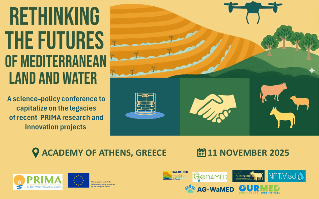 Join Us at the Academy of Athens: Rethinking Mediterranean Futures